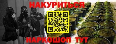 каннабис Коммунар