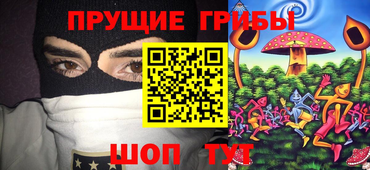 Дзержинск  Псилоцибиновые грибы прущие грибы  продажа наркотиков  Вход с VPN 